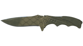 Safari Mesh image