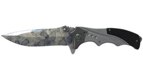 Stained image