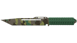 Boreal Forest image