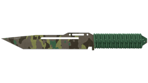 Boreal Forest image
