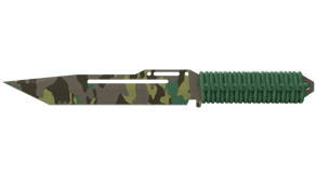 Boreal Forest image