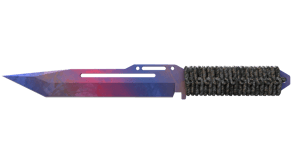 Doppler Phase 1 image