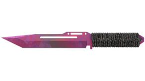 Doppler Phase 2 image