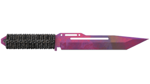 Doppler Phase 2 image