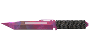 Doppler Phase 2 image