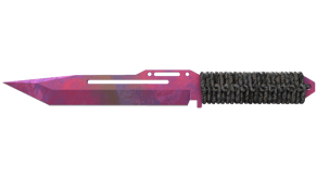 Doppler Phase 2 image