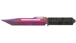 Doppler Phase 2 image