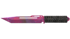 Doppler Phase 2 image