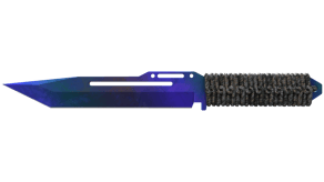 Doppler Phase 3 image