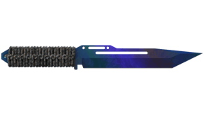 Doppler Phase 3 image