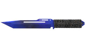 Doppler Phase 4 image