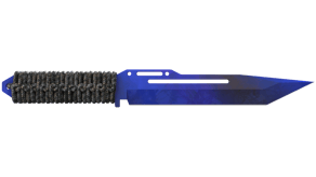 Doppler Phase 4 image