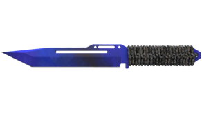 Doppler Phase 4 image