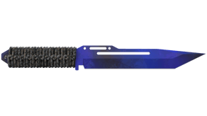Doppler Phase 4 image
