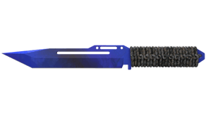 Doppler Phase 4 image