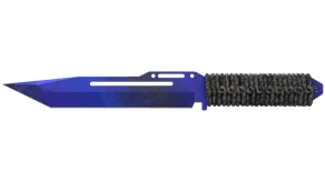 Doppler Phase 4 image