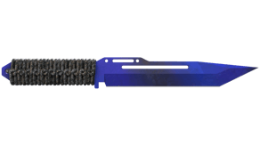 Doppler Phase 4 image