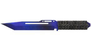 Doppler Phase 4 image