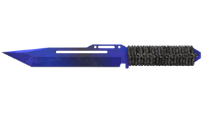 Doppler Phase 4 image
