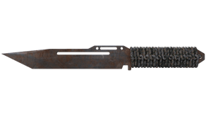 Rust Coat image