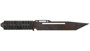 Rust Coat image