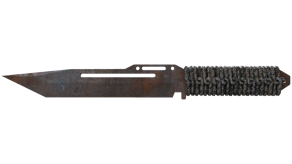 Rust Coat image