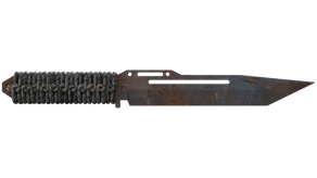 Rust Coat image