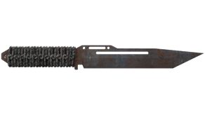 Rust Coat image