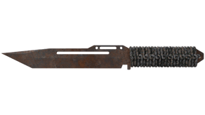 Rust Coat image