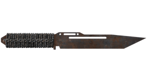 Rust Coat image