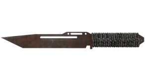 Rust Coat image