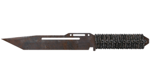 Rust Coat image