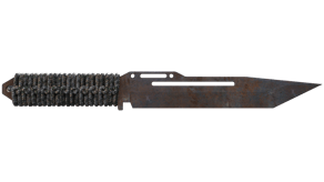 Rust Coat image