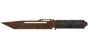 Rust Coat image