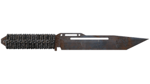 Rust Coat image