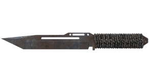 Rust Coat image