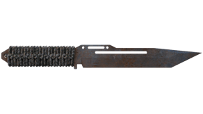 Rust Coat image