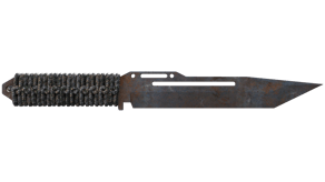 Rust Coat image