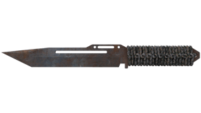 Rust Coat image