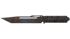 Rust Coat image