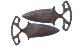Rust Coat image