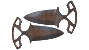 Rust Coat image