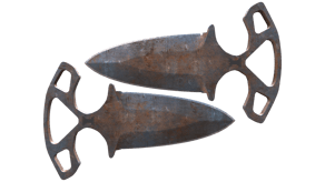 Rust Coat image