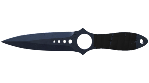 Blue Steel image