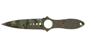Boreal Forest image