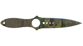Boreal Forest image