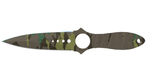 Boreal Forest image
