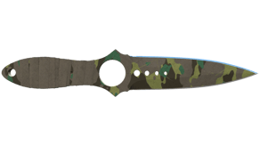 Boreal Forest image
