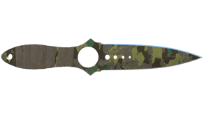 Boreal Forest image