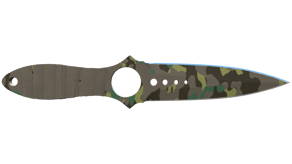 Boreal Forest image
